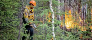  ?? Agence France-presse ?? A member of the Aerial Forest Protection Service brigade sets a backfire to stop a forest fire from spreading in Byas-kyuel on Wednesday.