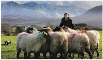  ??  ?? One girl and her dog: Tara Foley (11) of Cuas and collie Knockmaa Zweep shepherdin­g under the cold mountains.