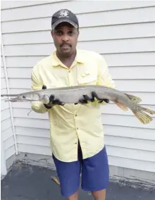  ?? FOR THE SUN- TIMES ?? Ken Krumreich ( left) displays his Illinois- record fish, either a redear or a redear hybrid. Don Lawrence of St. Louis ( above) with his Illinois- record shortnose gar.