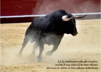  ??  ?? La ley taurina prevede che il torero uccida il toro entro il decimo minuto del tercio de muleta, la fase saliente della fiesta