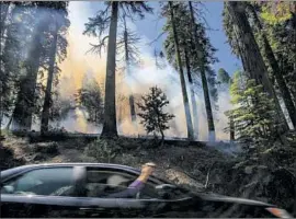  ?? Gina Ferazzi Los Angeles Times ?? AT SEQUOIA National Park, a tourist shoots a video while passing a prescribed burn. A cool summer has allowed more such burns, which can reduce wildfire risk.