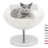  ?? ?? Spoil your cat with the Luxury Cat Bed from Harmony Products! The unique design lends itself to a timeless elegance that
will compliment any room in your home, and your cat will love it! Find it on Amazon!