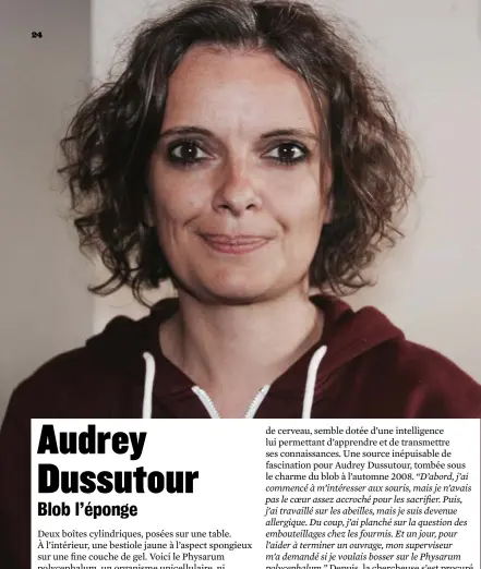 Audrey Dussutour, spécialiste du blob : « le blob peut montrer une