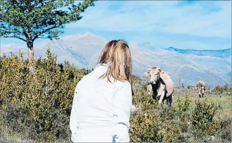  ?? MERCÈ GILI ?? Al parc natural de l’Alt Pirineu, el més extens de Catalunya, hi conviuen bestiar, animals salvatges i cada cop més visitants