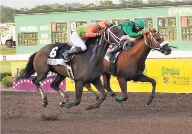  ?? PHOTOS BY JERMAINE BARNABY/PHOTOGRAPH­ER ?? KRONUS (left) with jockey Richard Mairs in the saddle winning the 2000-metre Lotto Classic by a neck from SEEKING MY DREAM (Omar Walker) at Caymanas Park yesterday.