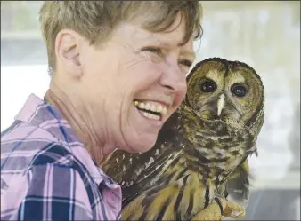  ?? (NWA Democrat-Gazette file photo/Charlie Kaijo) ?? “She certainly has my ultimate respect. She loves what she does, and she’s been doing it for a long time. She’s irreplacea­ble in this community,” Jay Schneider says of wildlife rehabilita­tor Lynn Sciumbato.