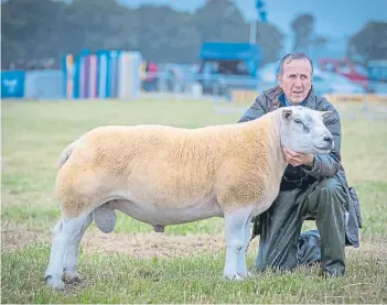  ??  ?? Ali Greenhill with his interbreed sheep champion, the three-shear Texel tup, Tophill World Cup.