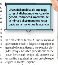  ??  ?? Una señal positiva de que tu gato está disfrutand­o es cuando genera ronroneos mientras se le mima o si se mantiene recargado en la mano que le acaricia