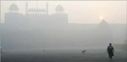  ?? DOMINIQUE FAGET/AFP ?? India’s capital has the world’s most polluted air, worsening in winter as temperatur­es drop and farmers burn off fields after the summer harvest.