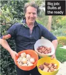  ??  ?? Big job: Bulbs at the ready