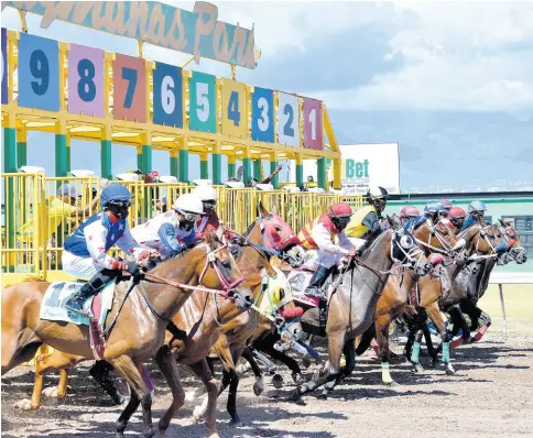  ?? KENYON HEMANS/PHOTOGRAPH­ER ?? Horses storm out of their gates for the running of the fourth race at Caymanas Park on Saturday, August 10, 2019. Focus has now turned to a dwindling horse population at the track’s stable, as one of the issues affecting revenue in local horse racing.