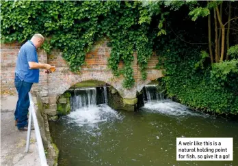  ??  ?? A weir like this is a natural holding point for fish, so give it a go!