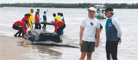  ?? Picture: MIKE BATTERHAM ?? MP Steven Miles and Sea World’s Trevor Long at a whale rescue exercise on Wavebreak Island yesterday.