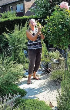  ?? RP-FOTO: HORST SIEMES ?? Christa Brüggemann in ihrem Garten an der Wevelingho­ver Straße in Lobberich. Ihre Spezialitä­t sind Rosen.