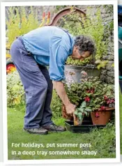  ?? ?? For holidays, put summer pots in a deep tray somewhere shady