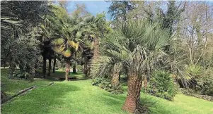  ?? | PHOTO : OUEST-FRANCE ?? La palmeraie est située au creux de la vallée.