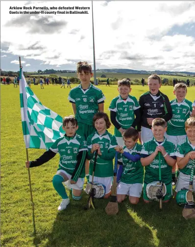  ??  ?? Arklow Rock Parnells, who defeated Western Gaels in the under-11 county final in Ballinakil­l.