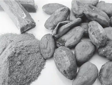  ?? Cacao es protagonis­ta de esta tradición oral ?? Tambié n el