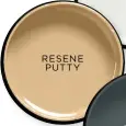  ?? ?? RESENE PUTTY