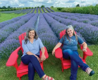  ?? ?? Jenn (left) and Melissa Schooley are the fourth generation to run Apple Hill Lavender Farm.