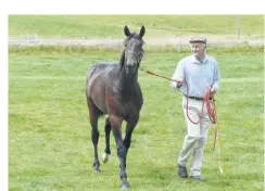  ?? PHOTO: MATT SMITH ?? Champion form . . . Fr Dan parades Tuapeka Troy to visiting trainers at Tuapeka Lodge near Lawrence in 2013.