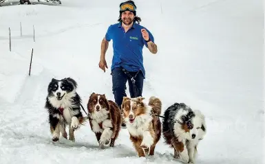  ??  ?? L’atleta Stefano Viganò era un campione di canicross, è morto il 29 gennaio: eccolo con Luky, Cody, Easy e Stella