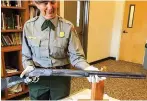  ?? National Park Service via AP ?? ■ Park archaeolog­ist Eva Jensen holds the 1882 Winchester rifle she found leaning against a tree in Great Basin National Park in 2014 near Baker, Nev. A new exhibit featuring the “Forgotten Winchester” has opened at the park’s visitor center near the Nevada-Utah line.