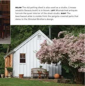  ??  ?? BELOW The old potting shed is also used as a studio; Linnaea
amabilis (beauty bush) is in bloom. LEFT Mismatched antiques furnish the quiet interior of the shed–studio. RIGHT The beechwood allée is visible from the pergola-covered patio that dates to the Olmsted Brothers design.