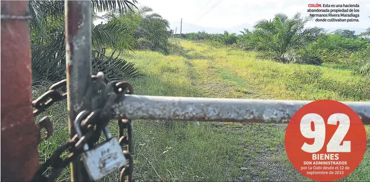  ??  ?? COLÓN. Esta es una hacienda abandonada propiedad de los hermanos Rivera Maradiaga donde cultivaban palma.