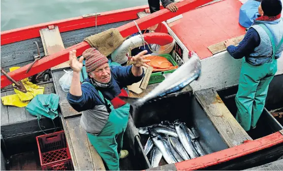  ?? /Reuters ?? Docking: A fisherman off-loads his catch to eager buyers in Cape Town’s Kalk Bay harbour. Rights allocation­s have recently been awarded in squid, inshore hake, West Coast lobster and horse mackerel. But Viking Fishing challenged the new quota awards...