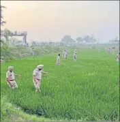  ?? HT PHOTO ?? Police combing fields near the Internatio­nal Border in Tarn Taran district.