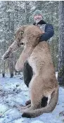  ?? FACEBOOK / STEVE ECKLUND / CP ?? Canadian wildlife TV host Steve Ecklund poses with a cougar carcass in a photo from his Facebook page after shooting it on a hunt in northern Alberta.