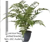  ??  ?? Luscious faux potted bracken fern, £62, audenza