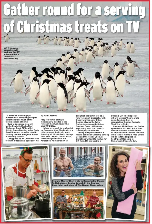  ??  ?? Let it snow... penguins will perk up the TV schedule for a landmark documentar­y