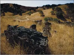  ?? DAI SUGANO — STAFF PHOTOGRAPH­ER ?? Tilton Ranch, near Morgan Hill in Coyote Valley, has been purchased by a coalition of government agencies and land trusts to preserve wildlife corridors, open space and recreation­al opportunit­ies between South San Jose and Morgan Hill.