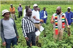 Presidenti­al village business units rise to 113 in Manicaland ...