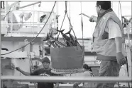  ?? CALEB JONES/AP PHOTO ?? A catch of fish is unloaded from a commercial fishing boat last month at Pier 38 in Honolulu.