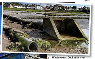  ?? ?? Waste woes: Cockle farmer Terry Davies. Top, sewage pipes at Morecambe Bay and, below, United Utilities’ boss Steve Mogford with daughter Claire