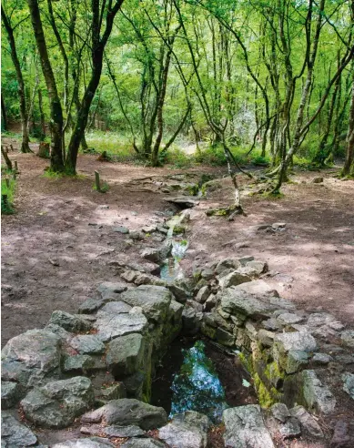  ??  ?? La fontaine de Barenton aurait des pouvoirs surnaturel­s.