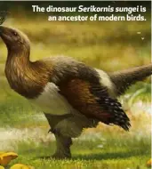  ??  ?? The dinosaur Serikornis sungei is an ancestor of modern birds.