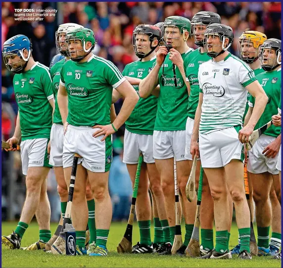  ??  ?? TOP DOGS: inter-county teams like Limerick are well looked after