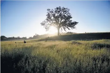  ?? U.S. Navy 2016 ?? Top: The historic Hearst Hacienda is on the grounds of what is now the U.S. Army’s Fort Hunter Liggett in southern Monterey County. It offers basic accommodat­ions for visitors. Above: U.S. Navy Seabees hold a field training exercise at Fort Hunter...