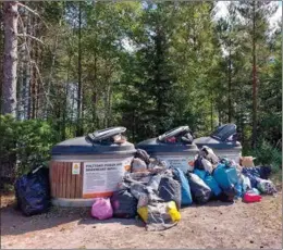  ?? PONTUS JOHANSSON ?? TRÅKIG SYN. Avfallskär­len på Rosala fotografer­ades i går, onsdag.