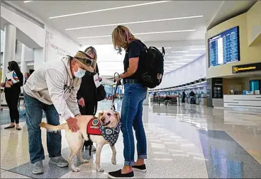  ?? PHOTOS/ THE COLUMBUS DISPATCH ALIE SKOWRONSKI ?? Jeff Parker (left) and his wife, Eddie, deal with their delayed flight at the John Glenn Columbus Internatio­nal Airport by petting Yakeley, a dog from Paw Force Once. “We like dogs better than most people,” Jeff Parker said.