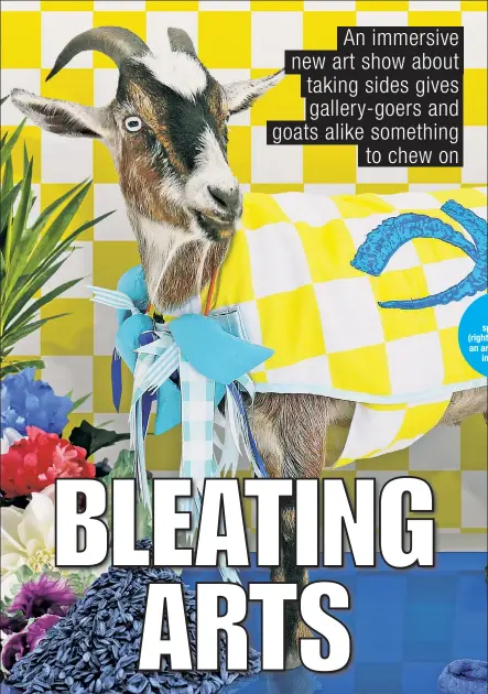  ??  ?? Goats keep spectators (right) guessing at an art installati­on in Chelsea.