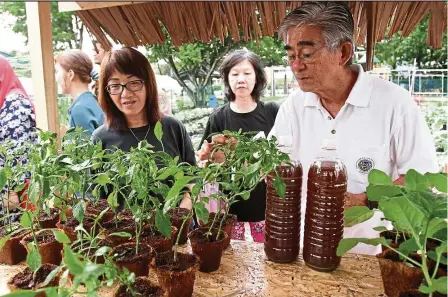  ??  ?? Visitors to the PJ Smart Waste Solution Lab in SS2, Petaling Jaya, checking out liquid fertiliser­s and organic plants. The liquid fertiliser is produced from organic waste compost at the lab. — YAP CHEE HONG/The Star