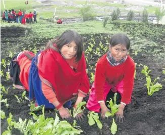  ??  ?? Two girls in Ecuador practice agricultur­al skills in their school garden.