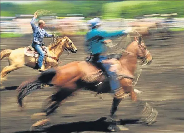  ?? JOE CARINI / GETTY ?? Dos paniolos hawaianos usan el lazo durante un rodeo celebrado en Waimea, en Big Island