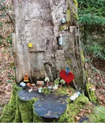  ?? ?? An einigen Stellen im Wald sind kleine Wichteldör­fer entstanden.