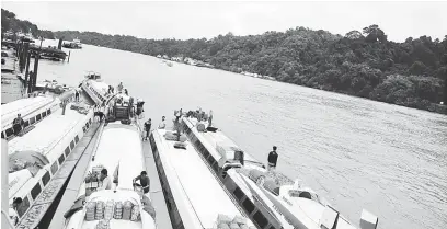  ??  ?? SERURAN BEJIMAT: Gaya tikas peninggi ai di Tebing Sungai Kapit berindik ari musim pengujan.